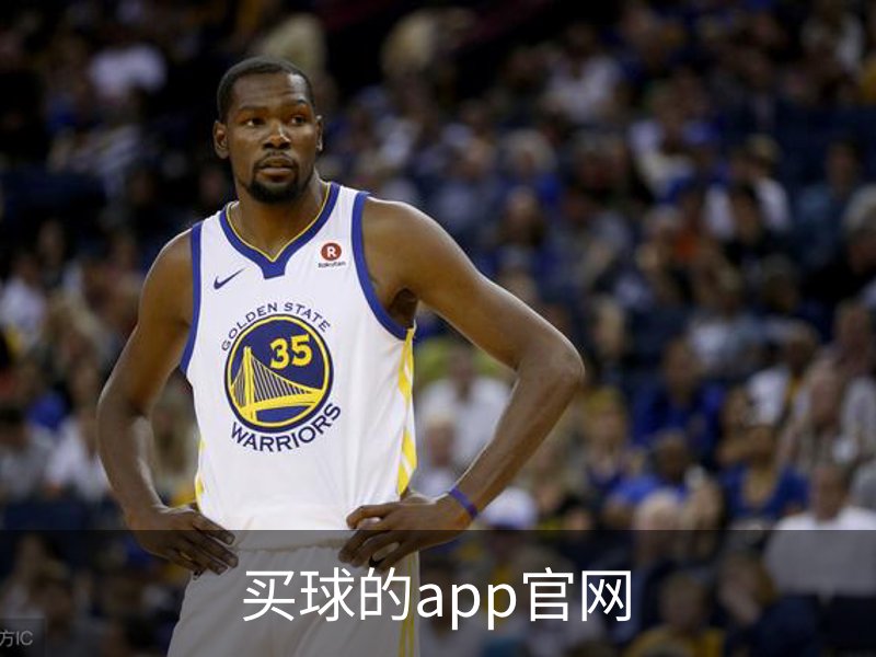 买球的app官网概况