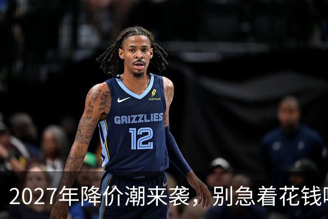 2027年降价潮来袭，别急着花钱哦！